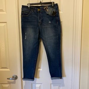 Democracy Karessa Capri Skinny Jean ~ Indigo~ size 12